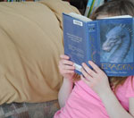 ip攻击器网页版